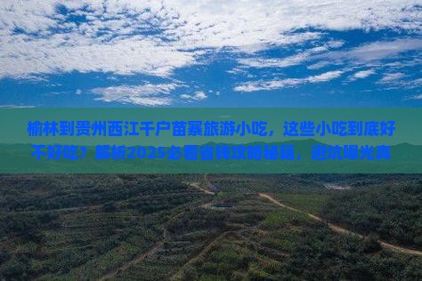 榆林到贵州西江千户苗寨旅游小吃