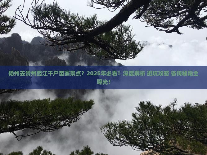 扬州去贵州西江千户苗寨景点