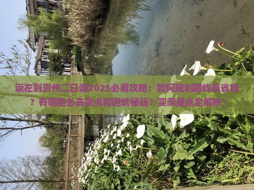 崇左到贵州二日游