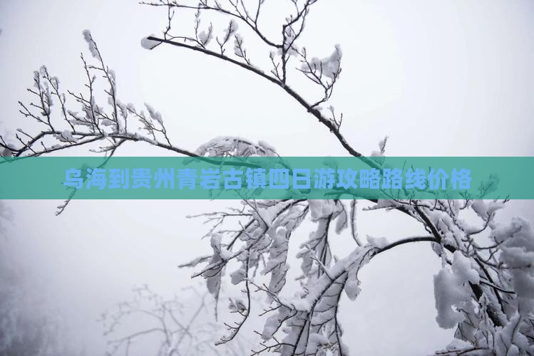 乌海到贵州青岩古镇四日游