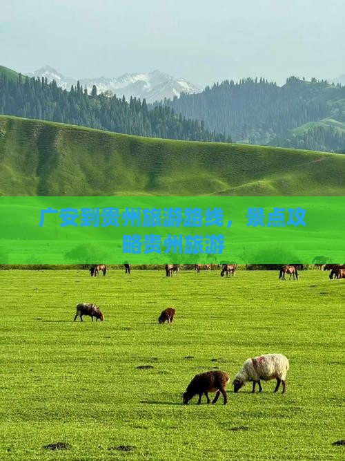 广安到贵州景点