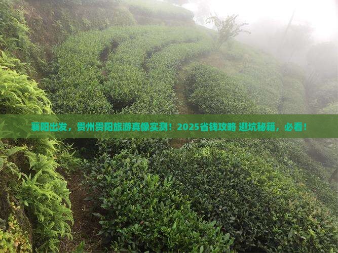 襄阳去贵州贵阳旅游