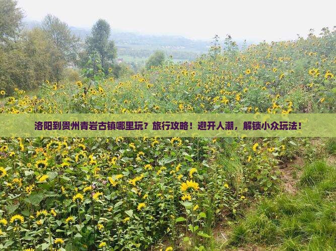 洛阳到贵州青岩古镇哪里玩