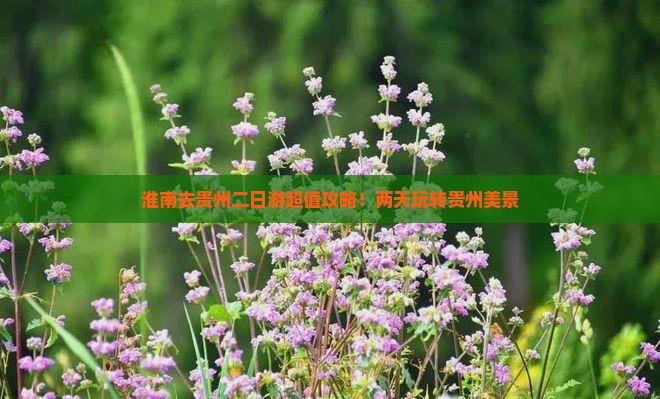 淮南去贵州二日游