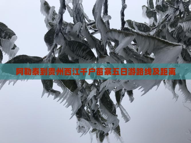 阿勒泰到贵州西江千户苗寨五日游