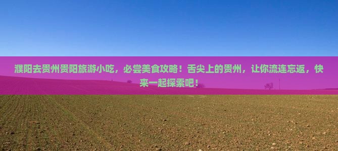 濮阳去贵州贵阳旅游小吃