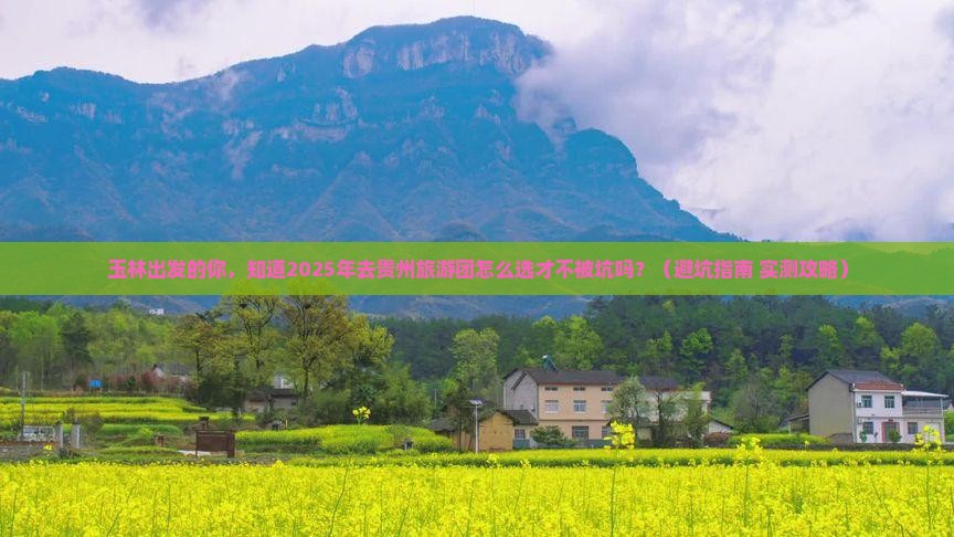 玉林到贵州大型旅游团