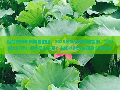 烟台去贵州贵阳自由团