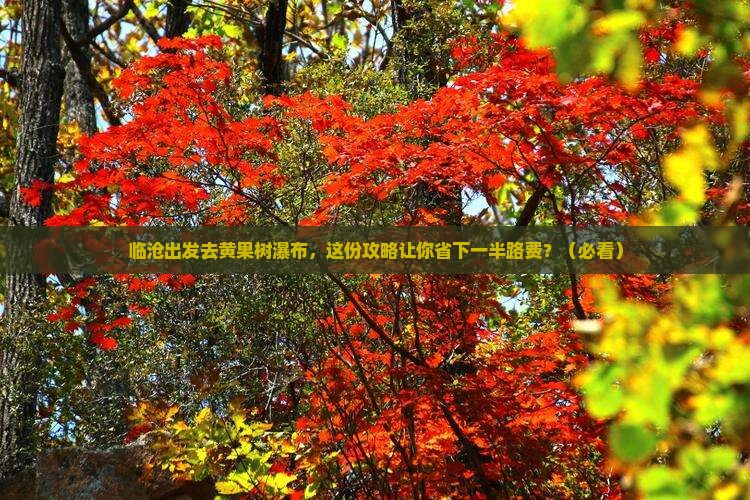 临沧去贵州黄果树瀑布旅行社
