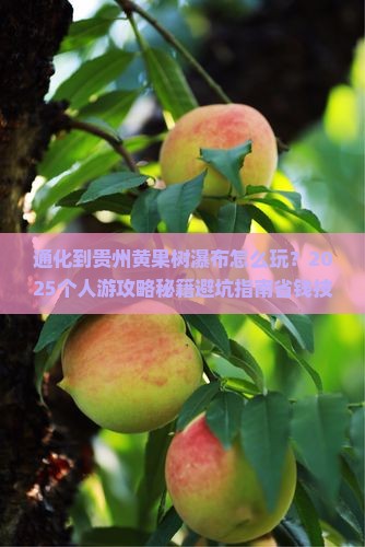 通化到贵州黄果树瀑布个人游