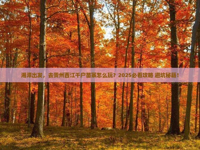 湘潭到贵州西江千户苗寨旅行社