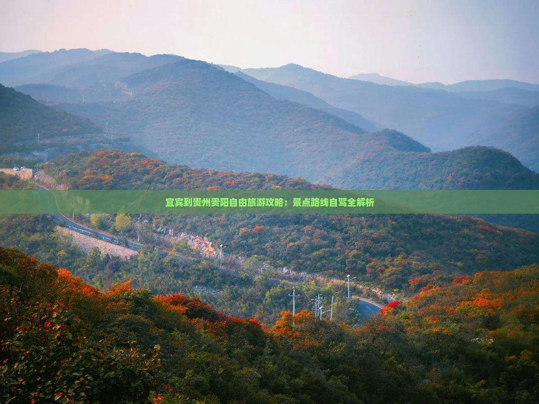 宜宾到贵州贵阳自由团