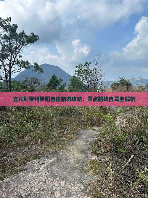 宜宾到贵州贵阳自由团