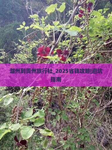 滁州到贵州旅行社
