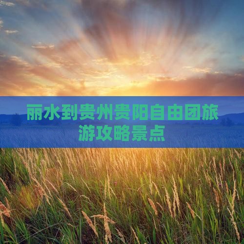 丽水到贵州贵阳自由团