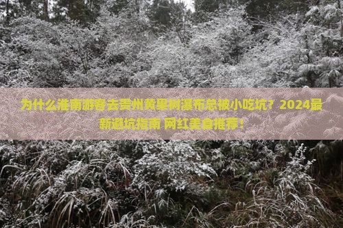 淮南去贵州黄果树瀑布旅游小吃