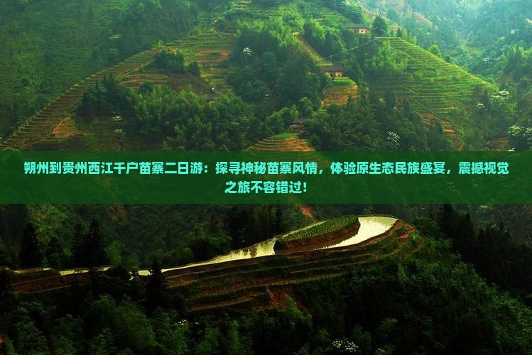 朔州到贵州西江千户苗寨二日游