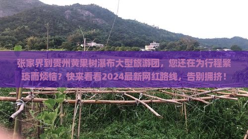 张家界到贵州黄果树瀑布大型旅游团