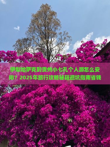 伊犁哈萨克到贵州小七孔个人游