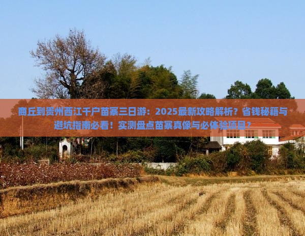 商丘到贵州西江千户苗寨三日游