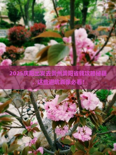 庆阳去贵州贵阳攻略