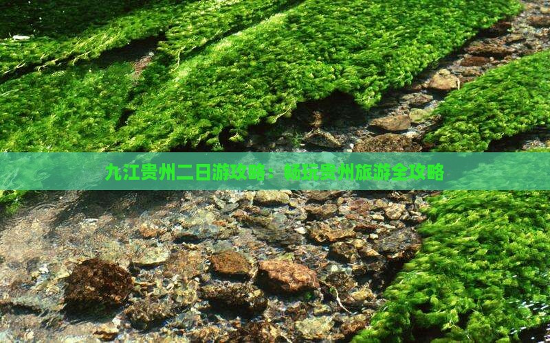 九江去贵州二日游