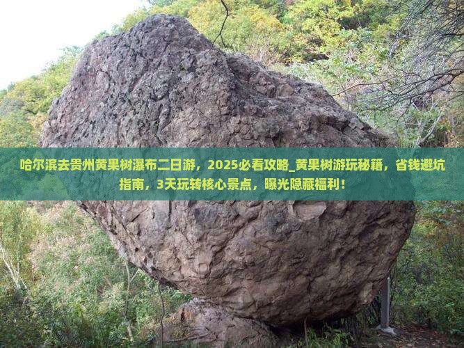 哈尔滨去贵州黄果树瀑布二日游
