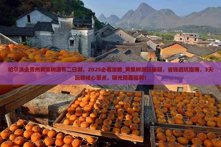 哈尔滨去贵州黄果树瀑布二日游