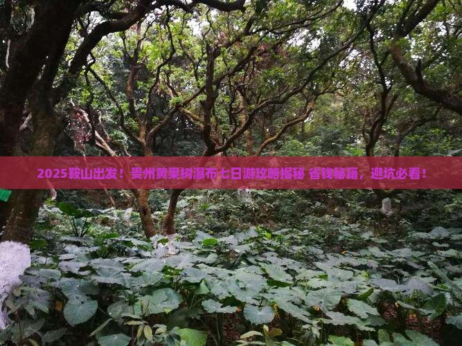 鞍山去贵州黄果树瀑布七日游