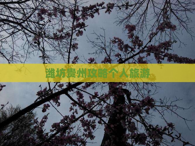 潍坊去贵州个人游