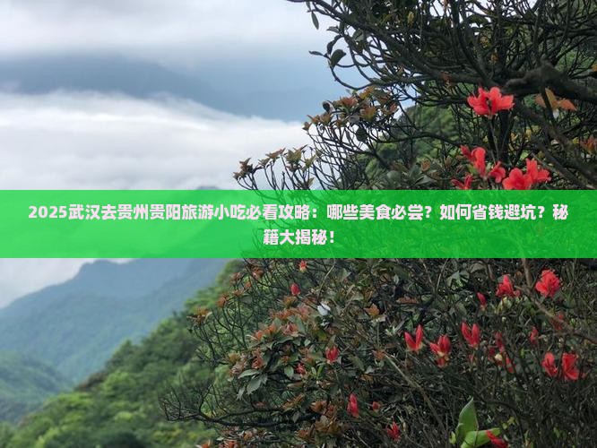 武汉去贵州贵阳旅游小吃
