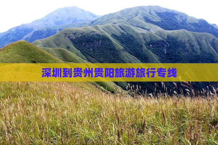 深圳到贵州贵阳旅行社