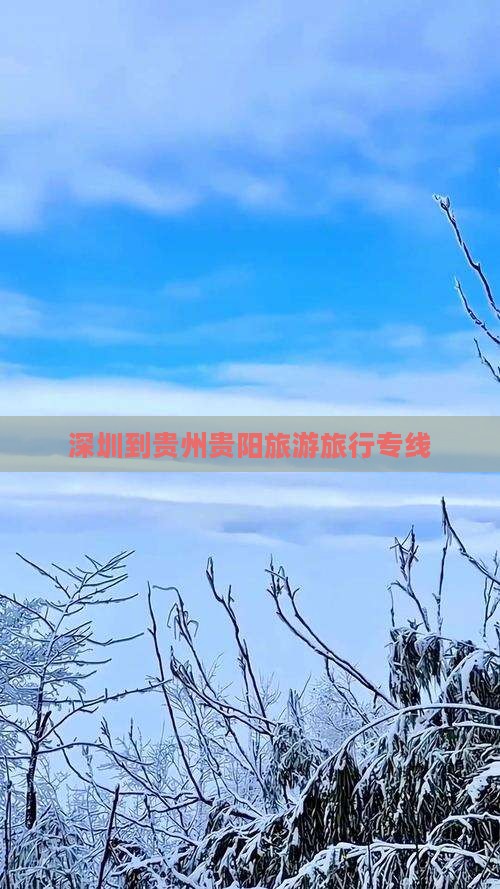 深圳到贵州贵阳旅行社