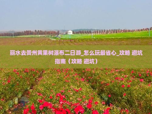 丽水去贵州黄果树瀑布二日游