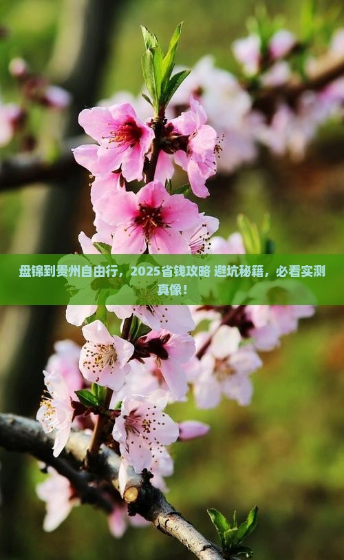 盘锦到贵州自由团