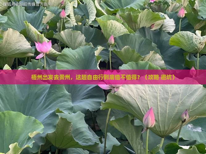梧州去贵州自由行