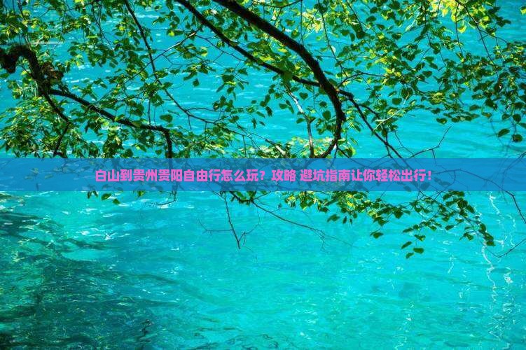 白山到贵州贵阳自由行