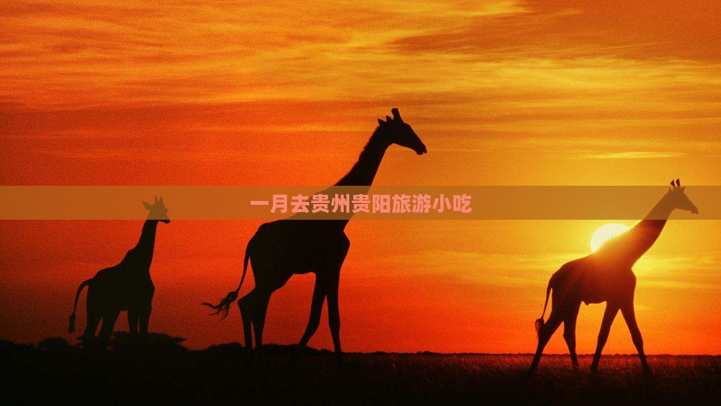 一月去贵州贵阳旅游小吃