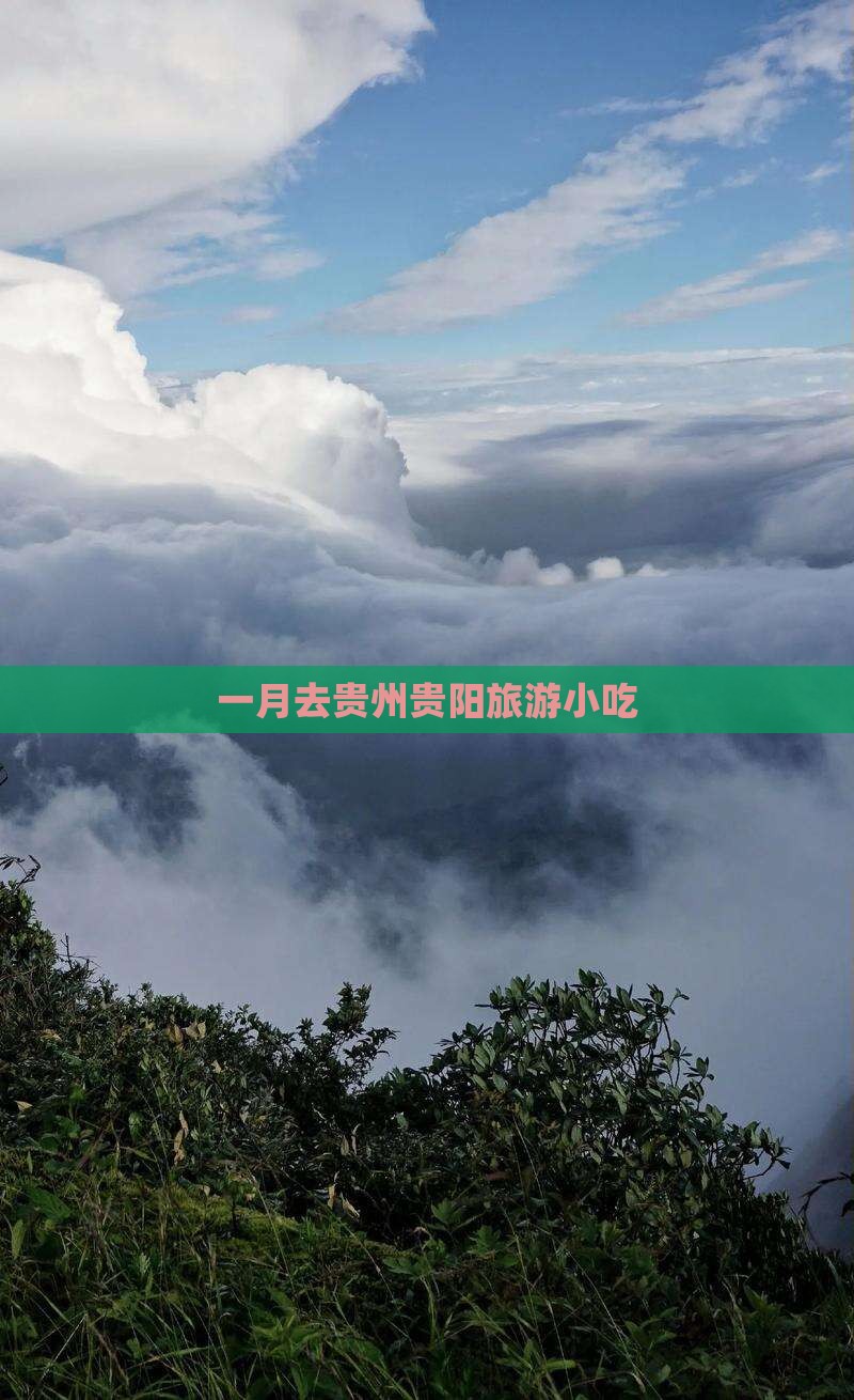 一月去贵州贵阳旅游小吃