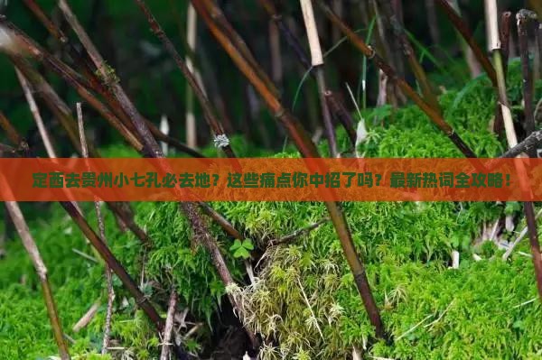 定西去贵州小七孔必去地