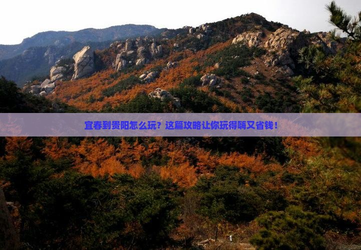 宜春到贵州贵阳旅行社