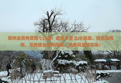 郑州去贵州贵阳七日游
