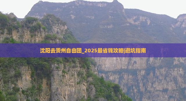 沈阳去贵州自由团
