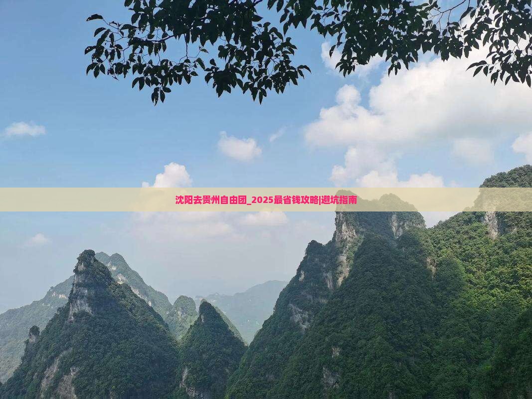 沈阳去贵州自由团