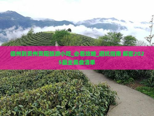 德州到贵州贵阳旅游小吃