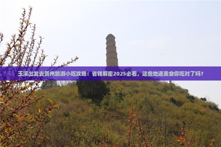 玉溪去贵州旅游小吃