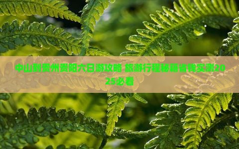 中山到贵州贵阳六日游