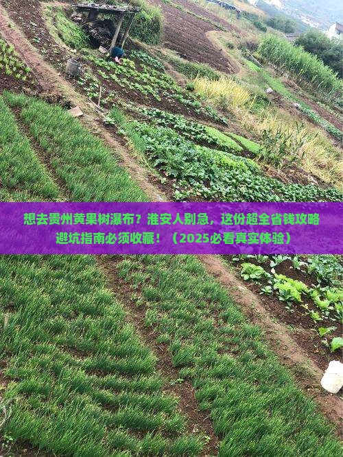 淮安去贵州黄果树瀑布旅行社
