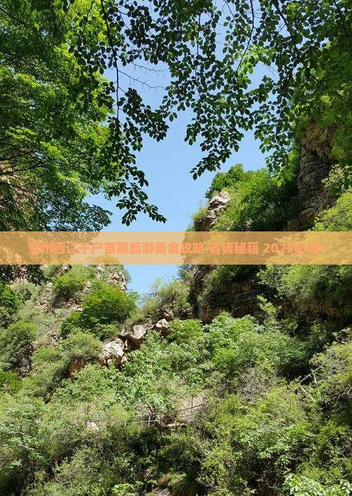 玉林去贵州西江千户苗寨旅游小吃