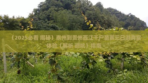 泰州去贵州西江千户苗寨三日游